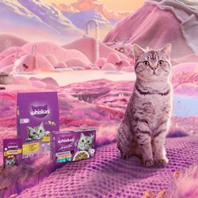 Whiskas_EU_2025_Purradise_1200x1200_banner_Pmax (1)[27]