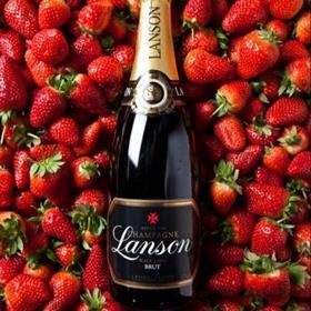Champagne Lanson
