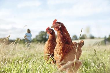 Waitrose Free Range British hens