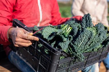 farmer carrying kale - getty