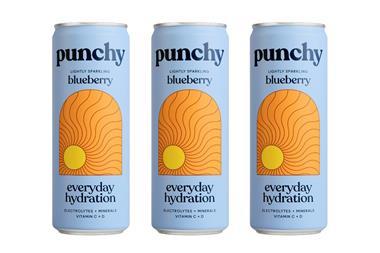 Punchy - Blueberry - Everyday Hydration