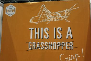 Grasshopper protein snack ad