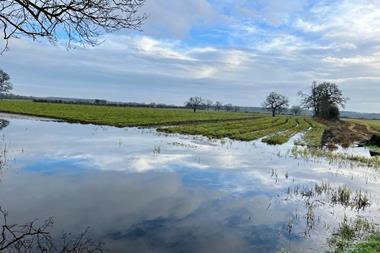 floods 2