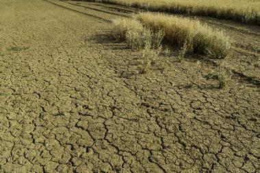 GettyImages-1309267434