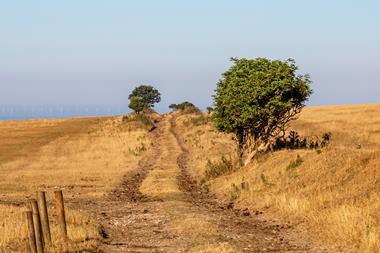 Drought Sussex heatwave farm climate field parched hot weather GettyImages-1000918954