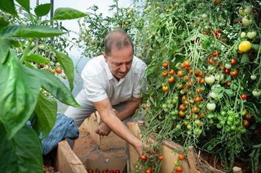 UNP Grocer 48115 Alex Smith Aisholt010
