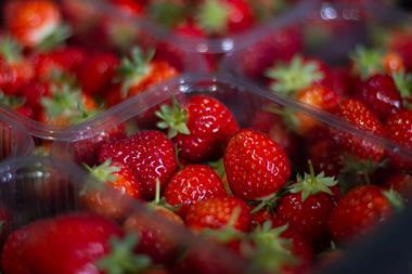 Copy of Strawberry Punnets