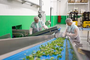 Vegetable factory workers