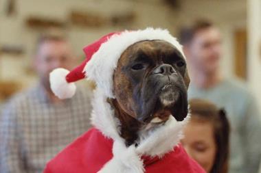 lidl christmas advert dog