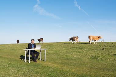 business cow farm