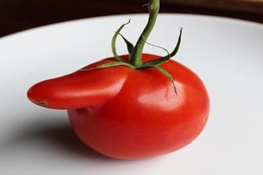 ugly tomato