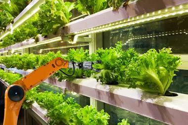 vertical farming robot lettuce growing