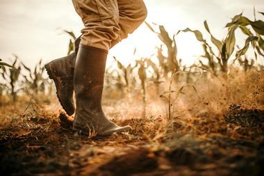 farmer boots farm dirt crops worker