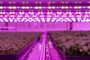 Jones Food Company Vertical Farm 1