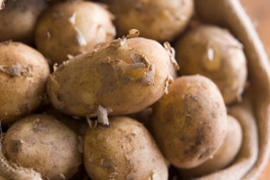 Jersey Royal potatoes