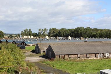 Poultry Farm Sheds