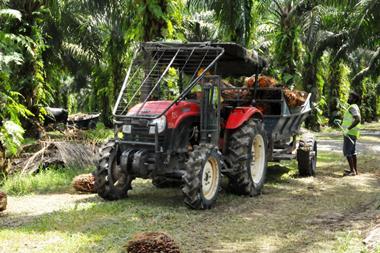 tractor forest palm oil