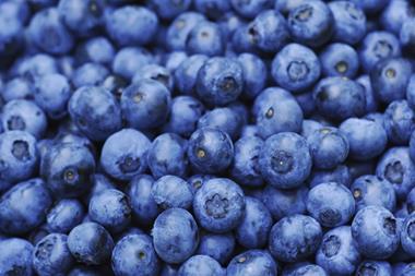 Frozen blueberries from Canada set for UK launch