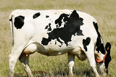 analysis milk, cow grazing in field