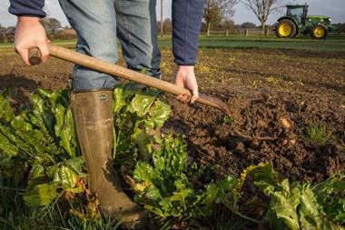 farm care dig grow