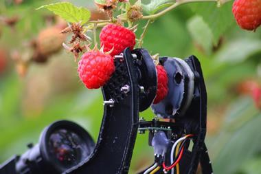 Robot fruit picker Fieldwork