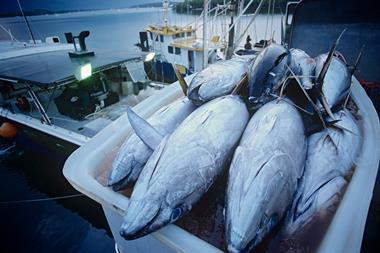 Tuna fish in container on fishing boat, dawn, Cairns, Australia - Getty Images