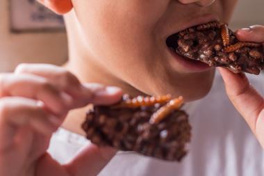 Edible insects - getty GettyImages-588984300