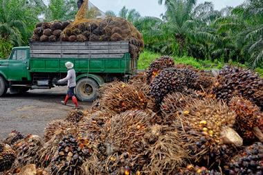 Palm-Oil
