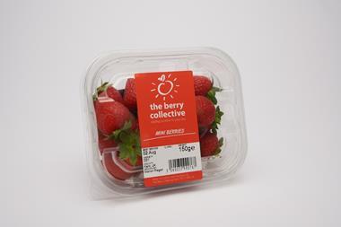 The Berry Collective Mini Berries