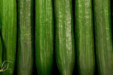 Morrisons cucumber