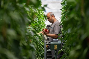 Sainsbury's pepper picker