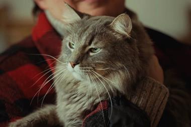 yorkshire tea ad cat