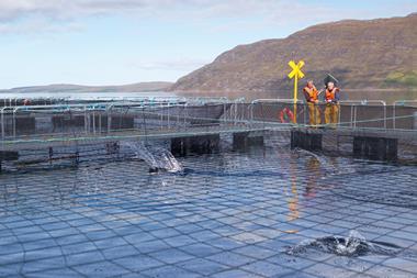 Salmon farmers standing by pen of Scottish salmon farm