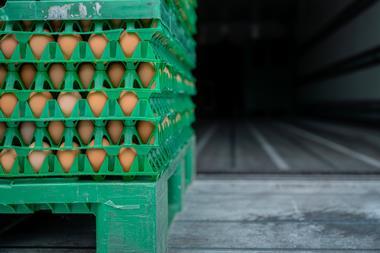 Pallet of eggs import