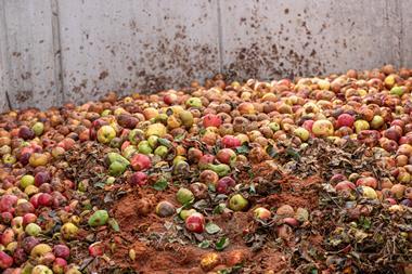 rotting apples fruit food waste