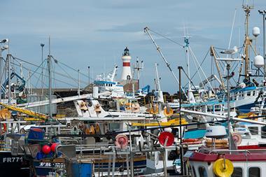 fishing boats harbour