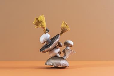 mushrooms fungi