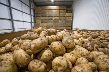 Potatoes in grower store