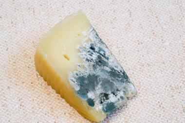Mouldy cheese