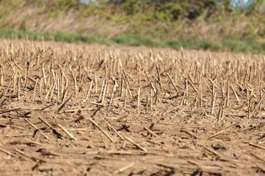 droufght dry ground