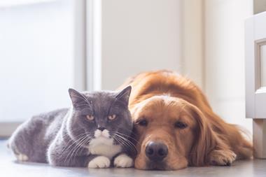 Cat and dog_sleeping with the enemy