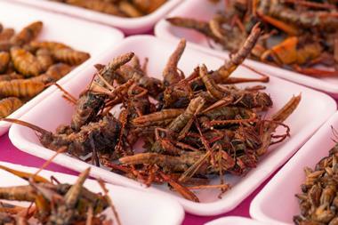 Plates of insects for sale in market