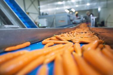 carrots production factory vegetables