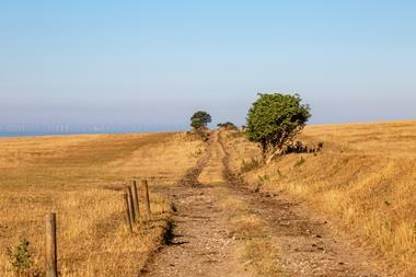 Sussex heatwave farm climate field parched hot weather GettyImages-1000918954
