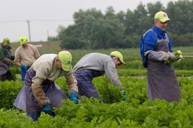 Migrant workers single use