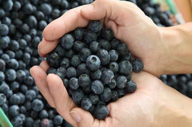 blueberries blueberry