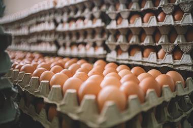 Chicken eggs - getty