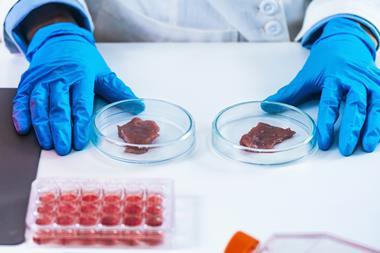 lab grown meat