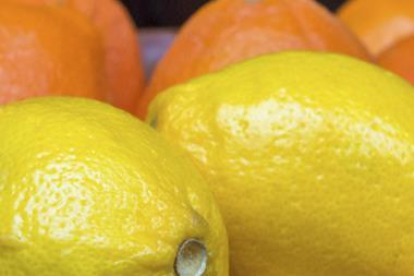 Lemons citrus fruit
