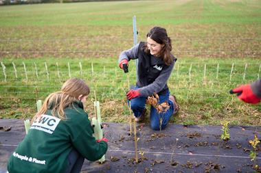 LWC x Asahi tree planting